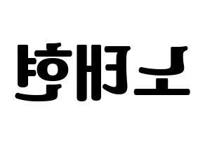 KPOP HOTSHOT(핫샷、ホットショット) 태현 (KID MONSTER) コンサート用　応援ボード・うちわ　韓国語/ハングル文字型紙 左右反転