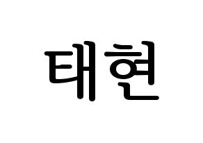 KPOP HOTSHOT(핫샷、ホットショット) 태현 (KID MONSTER) プリント用応援ボード型紙、うちわ型紙　韓国語/ハングル文字型紙 通常