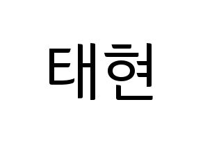 KPOP HOTSHOT(핫샷、ホットショット) 태현 (KID MONSTER) コンサート用　応援ボード・うちわ　韓国語/ハングル文字型紙 通常