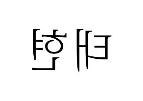 KPOP HOTSHOT(핫샷、ホットショット) 태현 (KID MONSTER) 応援ボード・うちわ　韓国語/ハングル文字型紙 左右反転