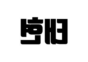 KPOP HOTSHOT(핫샷、ホットショット) 태현 (KID MONSTER) コンサート用　応援ボード・うちわ　韓国語/ハングル文字型紙 左右反転