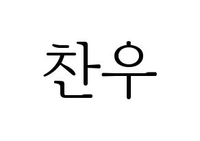 KPOP iKON(아이콘、アイコン) 정찬우 (CHAN) 応援ボード・うちわ　韓国語/ハングル文字型紙 通常