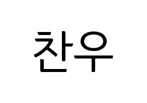 KPOP iKON(아이콘、アイコン) 정찬우 (CHAN) コンサート用　応援ボード・うちわ　韓国語/ハングル文字型紙 通常