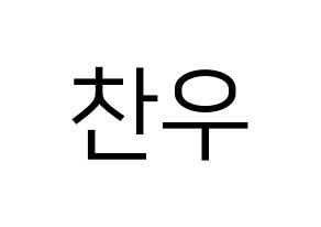 KPOP iKON(아이콘、アイコン) 정찬우 (CHAN) プリント用応援ボード型紙、うちわ型紙　韓国語/ハングル文字型紙 通常