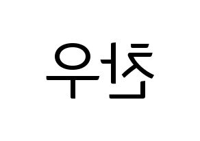 KPOP iKON(아이콘、アイコン) 정찬우 (CHAN) コンサート用　応援ボード・うちわ　韓国語/ハングル文字型紙 左右反転