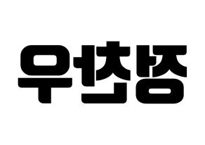 KPOP iKON(아이콘、アイコン) 정찬우 (CHAN) コンサート用　応援ボード・うちわ　韓国語/ハングル文字型紙 左右反転