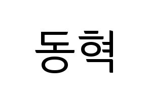 KPOP iKON(아이콘、アイコン) 김동혁 (DK) コンサート用　応援ボード・うちわ　韓国語/ハングル文字型紙 通常