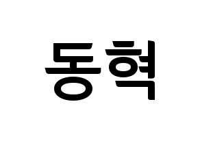 KPOP iKON(아이콘、アイコン) 김동혁 (DK) k-pop アイドル名前 ファンサボード 型紙 通常