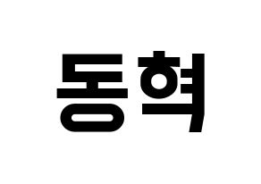 KPOP iKON(아이콘、アイコン) 김동혁 (DK) 名前 応援ボード 作り方 通常