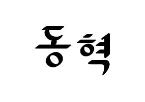 KPOP iKON(아이콘、アイコン) 김동혁 (DK) 応援ボード ハングル 型紙  通常