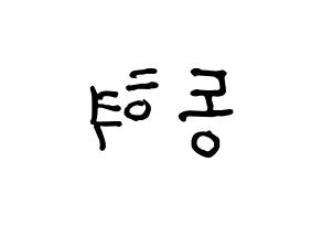 KPOP iKON(아이콘、アイコン) 김동혁 (DK) k-pop アイドル名前 ファンサボード 型紙 左右反転