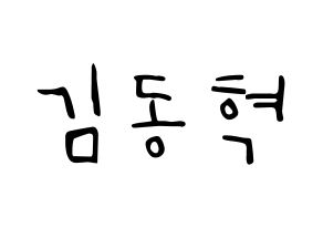 KPOP iKON(아이콘、アイコン) 김동혁 (DK) 応援ボード ハングル 型紙  通常