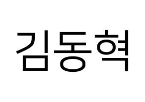 KPOP iKON(아이콘、アイコン) 김동혁 (DK) プリント用応援ボード型紙、うちわ型紙　韓国語/ハングル文字型紙 通常
