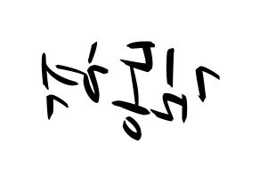 KPOP iKON(아이콘、アイコン) 김동혁 (DK) k-pop 応援ボード メッセージ 型紙 左右反転