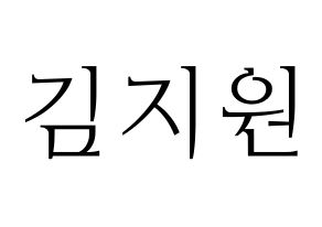 KPOP iKON(아이콘、アイコン) BOBBY (BOBBY) 応援ボード・うちわ　韓国語/ハングル文字型紙 通常