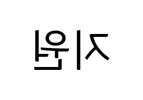 KPOP iKON(아이콘、アイコン) BOBBY (BOBBY) コンサート用　応援ボード・うちわ　韓国語/ハングル文字型紙 左右反転