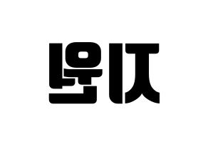 KPOP iKON(아이콘、アイコン) BOBBY (BOBBY) コンサート用　応援ボード・うちわ　韓国語/ハングル文字型紙 左右反転