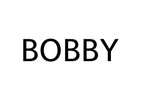 KPOP iKON(아이콘、アイコン) BOBBY (キム・ジウォン, BOBBY) 無料サイン会用、イベント会用応援ボード型紙 通常