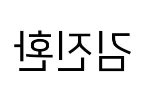 KPOP iKON(아이콘、アイコン) 김진환 (JAY) プリント用応援ボード型紙、うちわ型紙　韓国語/ハングル文字型紙 左右反転