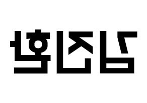 KPOP iKON(아이콘、アイコン) 김진환 (JAY) 名前 応援ボード 作り方 左右反転