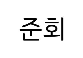 KPOP iKON(아이콘、アイコン) 구준회 (JU-NE) コンサート用　応援ボード・うちわ　韓国語/ハングル文字型紙 通常