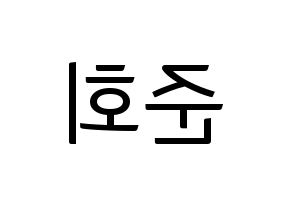 KPOP iKON(아이콘、アイコン) 구준회 (JU-NE) コンサート用　応援ボード・うちわ　韓国語/ハングル文字型紙 左右反転