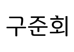 KPOP iKON(아이콘、アイコン) 구준회 (JU-NE) プリント用応援ボード型紙、うちわ型紙　韓国語/ハングル文字型紙 通常