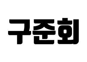 KPOP iKON(아이콘、アイコン) 구준회 (JU-NE) コンサート用　応援ボード・うちわ　韓国語/ハングル文字型紙 通常