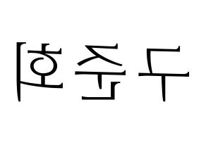 KPOP iKON(아이콘、アイコン) 구준회 (JU-NE) 応援ボード・うちわ　韓国語/ハングル文字型紙 左右反転
