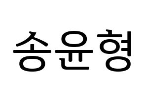 KPOP iKON(아이콘、アイコン) 송윤형 (SONG) プリント用応援ボード型紙、うちわ型紙　韓国語/ハングル文字型紙 通常