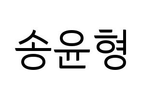 KPOP iKON(아이콘、アイコン) 송윤형 (SONG) コンサート用　応援ボード・うちわ　韓国語/ハングル文字型紙 通常