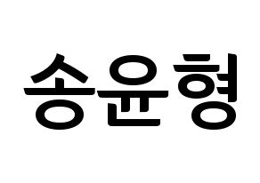 KPOP iKON(아이콘、アイコン) 송윤형 (SONG) k-pop アイドル名前 ファンサボード 型紙 通常