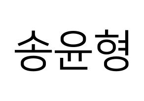 KPOP iKON(아이콘、アイコン) 송윤형 (SONG) プリント用応援ボード型紙、うちわ型紙　韓国語/ハングル文字型紙 通常