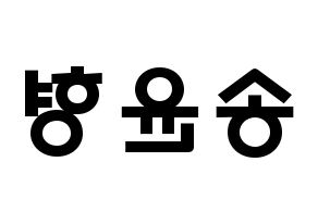 KPOP iKON(아이콘、アイコン) 송윤형 (ソン・ユンヒョン, SONG) 応援ボード、うちわ無料型紙、応援グッズ 左右反転