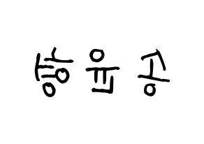 KPOP iKON(아이콘、アイコン) 송윤형 (SONG) 名前 応援ボード 作り方 左右反転