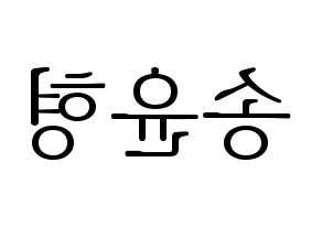 KPOP iKON(아이콘、アイコン) 송윤형 (SONG) 応援ボード・うちわ　韓国語/ハングル文字型紙 左右反転