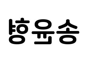 KPOP iKON(아이콘、アイコン) 송윤형 (ソン・ユンヒョン, SONG) k-pop アイドル名前　ボード 言葉 左右反転