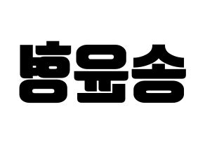 KPOP iKON(아이콘、アイコン) 송윤형 (SONG) コンサート用　応援ボード・うちわ　韓国語/ハングル文字型紙 左右反転