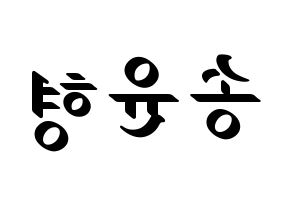 KPOP iKON(아이콘、アイコン) 송윤형 (SONG) 応援ボード ハングル 型紙  左右反転