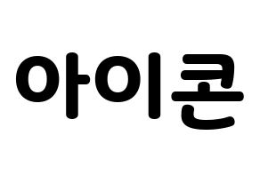 無料 KPOP歌手 iKON(아이콘、アイコン) ハングル応援ボード型紙、応援グッズ制作 通常