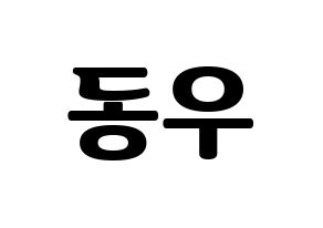 KPOP INFINITE(인피니트、インフィニット) 동우 (ドンウ) コンサート用　応援ボード・うちわ　韓国語/ハングル文字型紙 通常