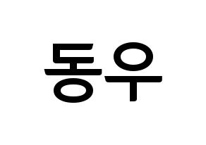 KPOP INFINITE(인피니트、インフィニット) 동우 (ドンウ) k-pop アイドル名前 ファンサボード 型紙 通常