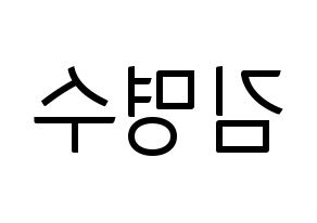 KPOP INFINITE(인피니트、インフィニット) 엘 (エル) コンサート用　応援ボード・うちわ　韓国語/ハングル文字型紙 左右反転