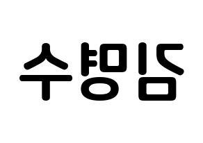 KPOP INFINITE(인피니트、インフィニット) 엘 (キム・ミョンス, エル) k-pop アイドル名前　ボード 言葉 左右反転