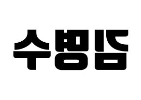 KPOP INFINITE(인피니트、インフィニット) 엘 (エル) コンサート用　応援ボード・うちわ　韓国語/ハングル文字型紙 左右反転