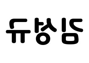 KPOP INFINITE(인피니트、インフィニット) 성규 (ソンギュ) 応援ボード・うちわ　韓国語/ハングル文字型紙 左右反転