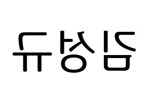 KPOP INFINITE(인피니트、インフィニット) 성규 (ソンギュ) プリント用応援ボード型紙、うちわ型紙　韓国語/ハングル文字型紙 左右反転
