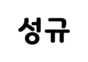 KPOP INFINITE(인피니트、インフィニット) 성규 (ソンギュ) 応援ボード・うちわ　韓国語/ハングル文字型紙 通常
