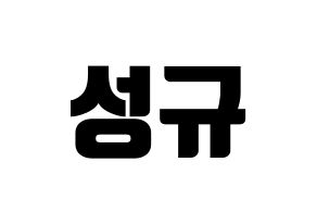 KPOP INFINITE(인피니트、インフィニット) 성규 (ソンギュ) コンサート用　応援ボード・うちわ　韓国語/ハングル文字型紙 通常