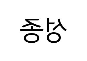 KPOP INFINITE(인피니트、インフィニット) 성종 (ソンジョン) コンサート用　応援ボード・うちわ　韓国語/ハングル文字型紙 左右反転